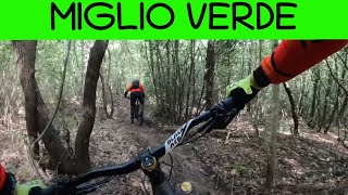 MTB Monte Morello 07.05.2022 sentiero MIGLIO VERDE