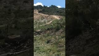 Pinkbike Friday Fails  #221 | #mtb...