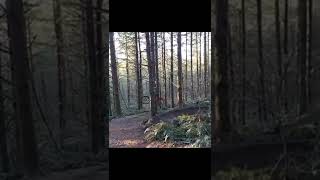Pinkbike Friday Fails  #220  | #Shorts