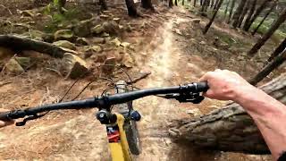 Quarry Track @ Signal Hill. Dunedin.