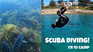 SCUBA DIVING INSANE FOOTAGE!!