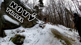 VLOG #05 Úklid po těžbě | stavba nového...