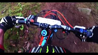 Blinduro 500 RZ 4 + Crash