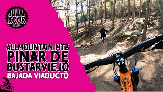 RUTA MTB | PINAR DE BUSTAR  | VIADUCTO | LOS...