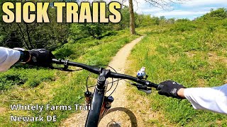 White Clay Creek - Whitely Farms & David...
