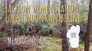 Wet Fun in Jackson Demonstration Forest
