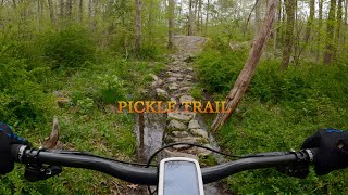 Wawayanda State Park Pickle Trail May 14, 2022