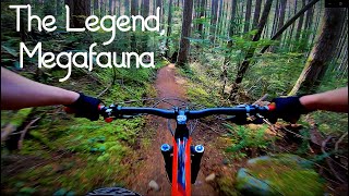 The Legend, Megafauna - Tiger mountain MTB [4K]