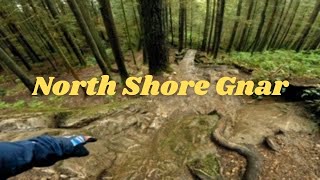 Sending Moistly - Mt. Seymour Dank Descents! -...