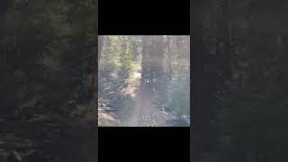 Pinkbike Friday Fails  #221  | #Shorts