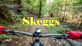 Skeggs