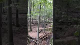 Pinkbike Friday Fails  #221  | #Shorts