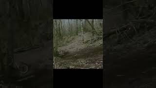 Pinkbike Friday Fails  #221  | #Shorts