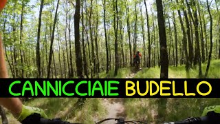 MTB Acquerino 14.05.2022 sentiero CANNICCIAIE...