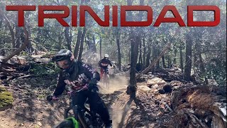 Trinidad Strikes Back! When the Secret Trail...