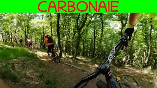 MTB Monte Javello 14.05.2022 sentiero CARBONAIE