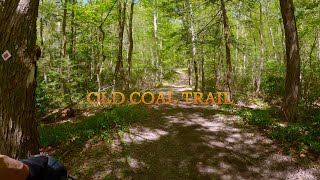 Wawayanda State Park Old Coal Trail May 18, 2022