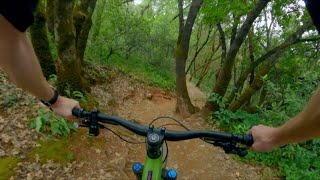 Foresthill Divide Trail (2 bears?!) / Auburn,...