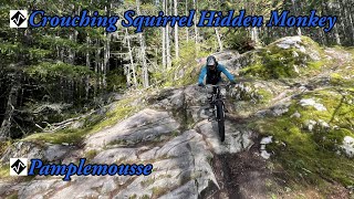 Best Mountain Biking in Squamish, BC -...