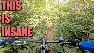 Wawayanda State Park NJ // Wildest Ride I've...