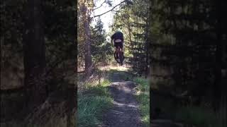 FINDING EXPERT FEATURES ON BEGINNER TRAILS #shorts