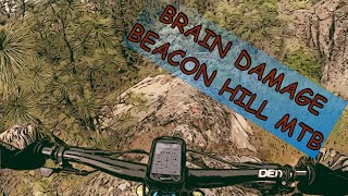 Brain Damage - Beacon Hill MTB