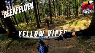 Yellow Viper