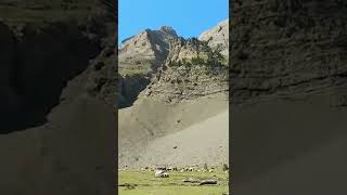 Donde te gustaría viajar con tú MTB? ️...