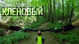 Битца - Кленовый