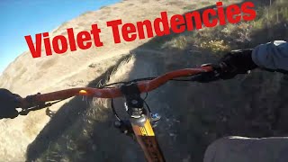 Violet Tendencies