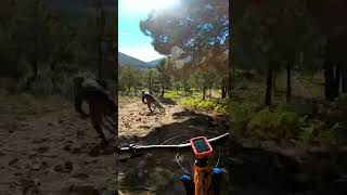 Pinkbike Friday Fails  #223 | #shorts #mtb...