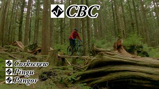 Awesome new trail improvements - The 'NEW' CBC