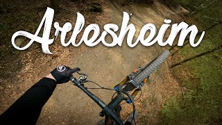 Bike Trail Arlesheim 2022