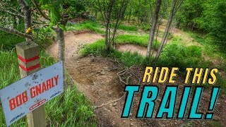 RIDING BIKES AT ONE OF THE BEST WELSH BIKEPARK'S !