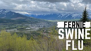 One of Fernies most iconic trails | SWINE FLU