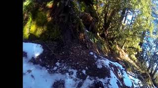 Vedder Mt March 10, 2018 Snowy but rideable