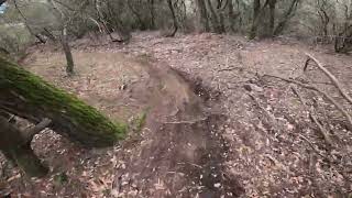 Trail Senglar desde Torre del moro