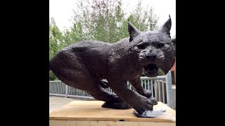 Wildcat Trail