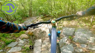 Brownie Lake Mountain Biking Trail Minneapolis MN