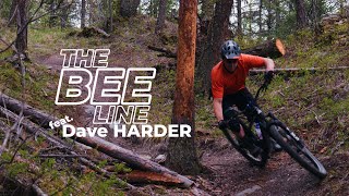 The Bee Line feat Dave HARDER