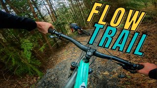 THIS TRACK HAS SO MUCH FLOW! BERMUDA!