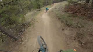 Flight 66 Moose Mountain Alberta