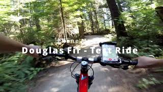 Douglas Fir - phone mount test
