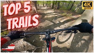 TOP 5 Legal Mountain Bike Trails in Vienna,...