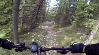 Coliseum Trail