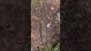 Wipeout Wednesday  #shorts onecutmedia