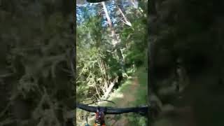 Pinkbike Friday Fails  #224 Pa haberme matao...