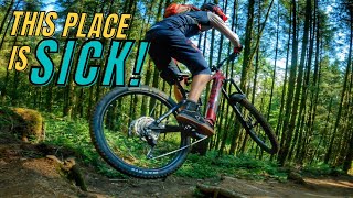 RIDING THIS TRACK IS A WORKOUT!