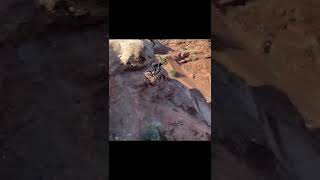 Pinkbike Saturday Sends  #52 | #Shorts