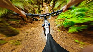 5 Minutes Of My Fastest Enduro Race Runs Ever...